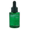 Pyunkang Yul Ultimate Calming Solution Ampoule 30ml