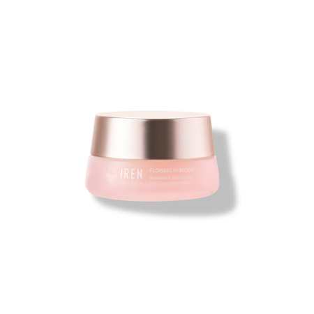 IREN SHIZEN - Flowers in Bloom Antioxidant Water Cream 15ml