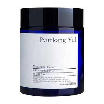 Pyunkang Yul Moisture Cream 100ml